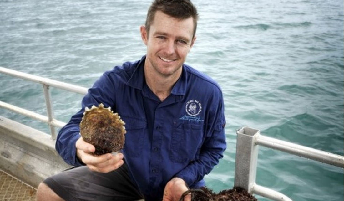 Australians encouraged to understand what makes our pearls so valuable