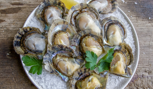 Eat More Seafood … delicious in all seasons