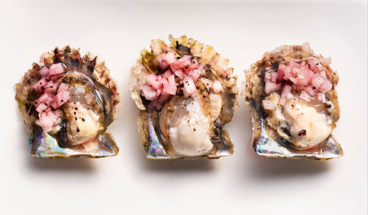 New native seafood for NSW – the Broken Bay Akoya pearl oyster
