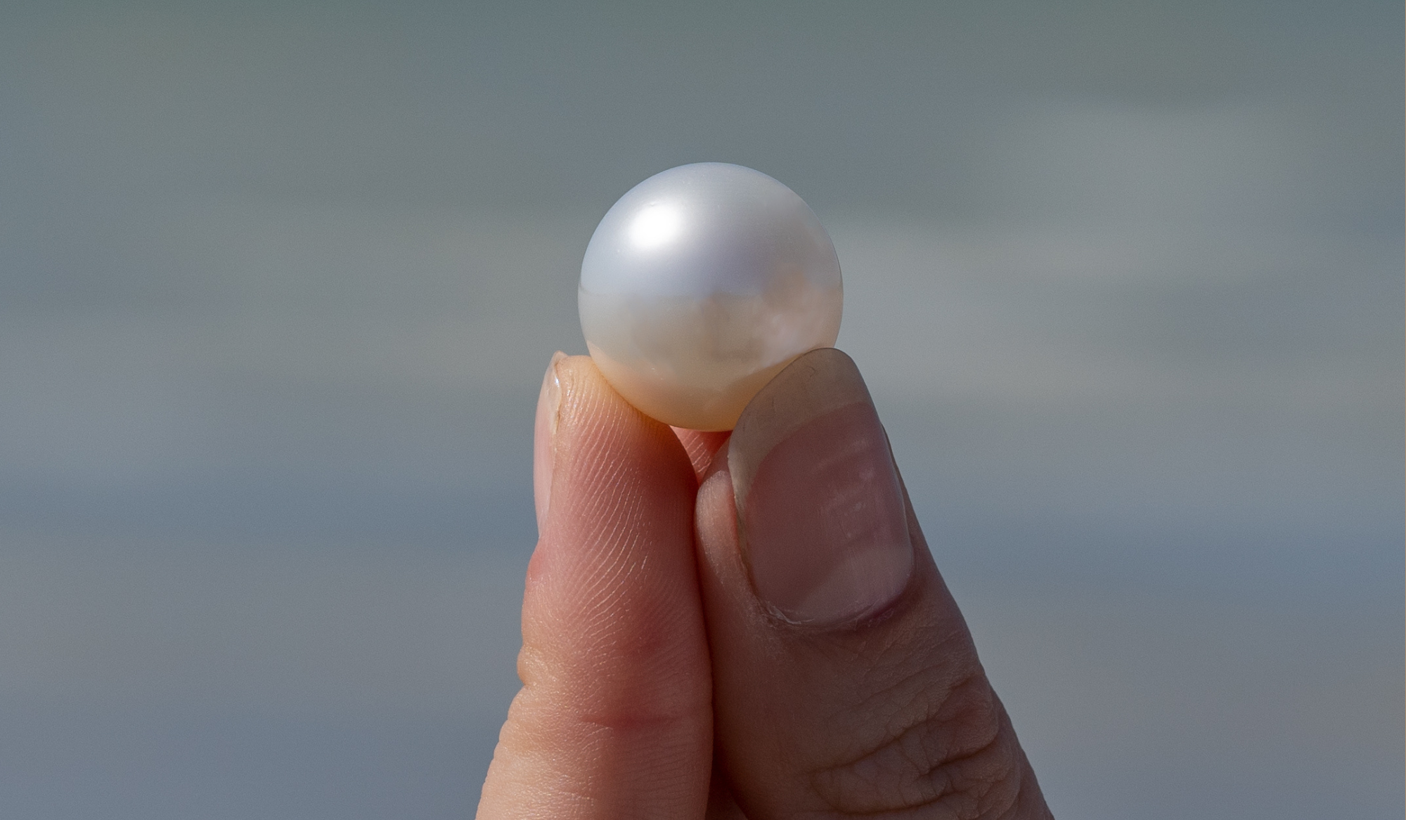 What are pearls and where do they come from? – Pearls of What are pearls and where do they come from? – Pearls of