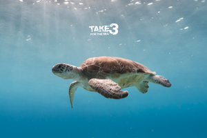 Take 3 for the Sea