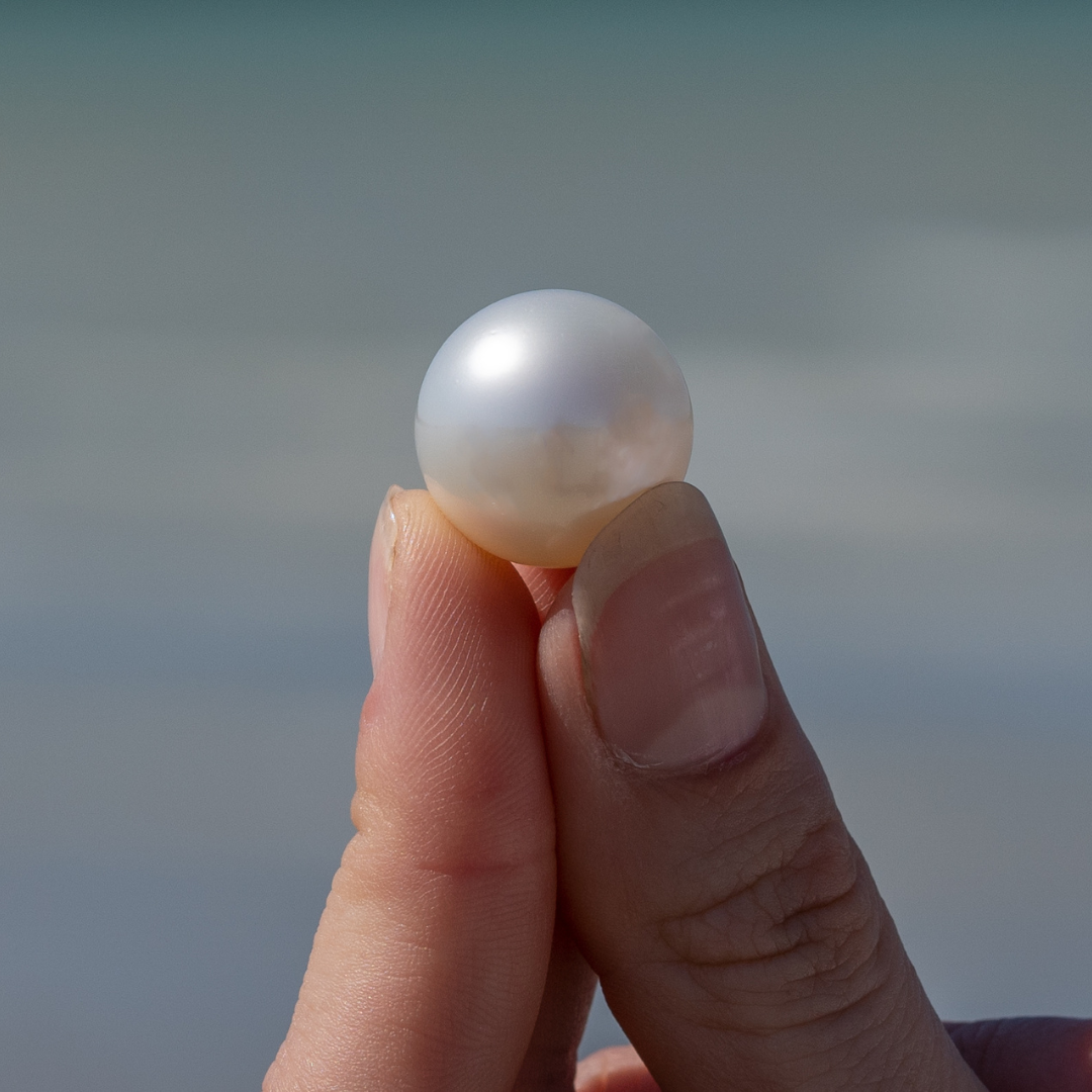 A person holds a perfectly round, white, Australian South Sea pearl between their fingertips. This pearl was carefully grown at our Cygnet Bay Pearl Farm.