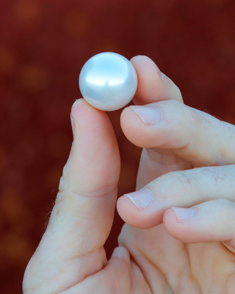 A person holds a beautiful, flawless Australian South Sea pearl - completely untreated and glowing with its innate colour and lustre between their fingertips.