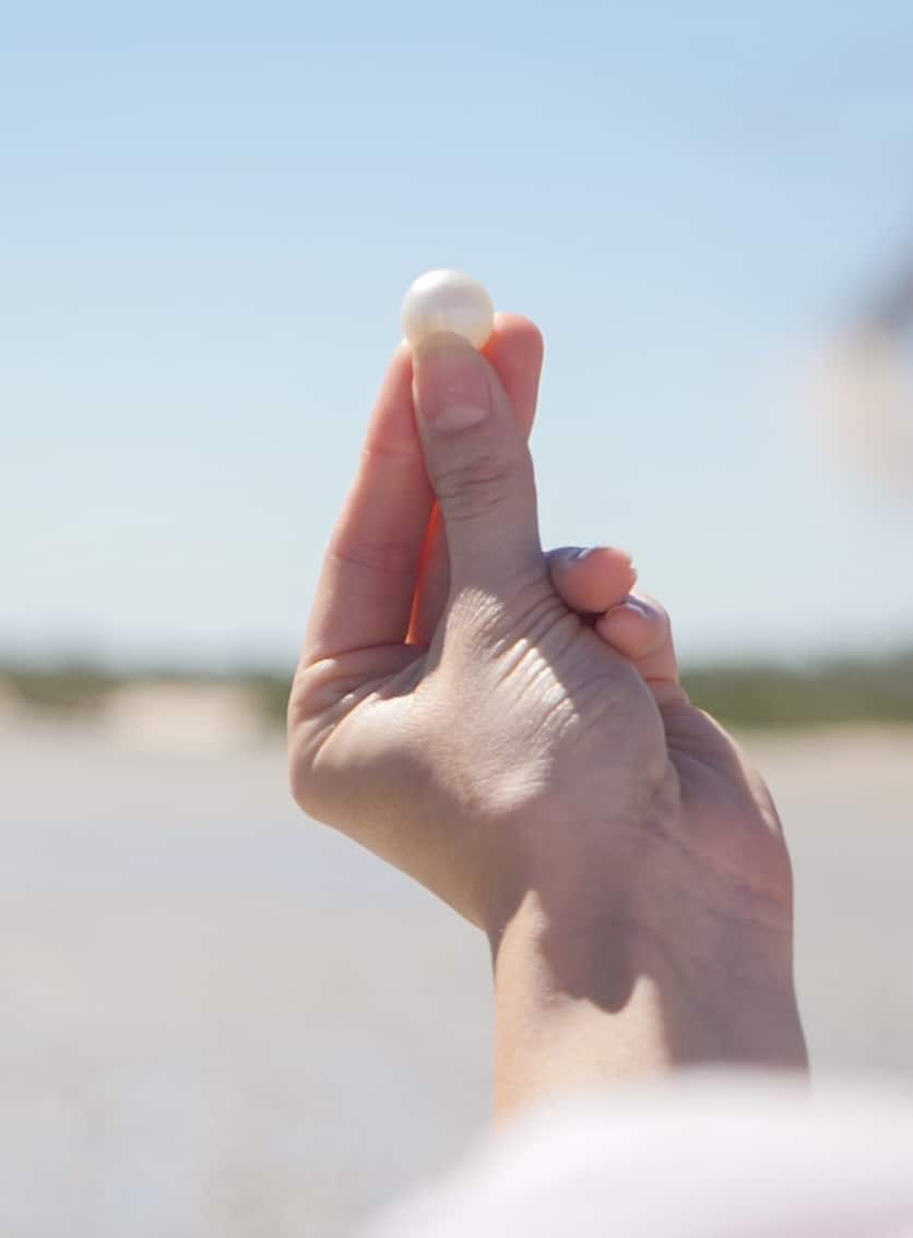 A person holds a perfectly round, stunning Australian South Sea pearl between their finger tips - showing the innate colour and lustre of our Cygnet Bay grown pearls.
