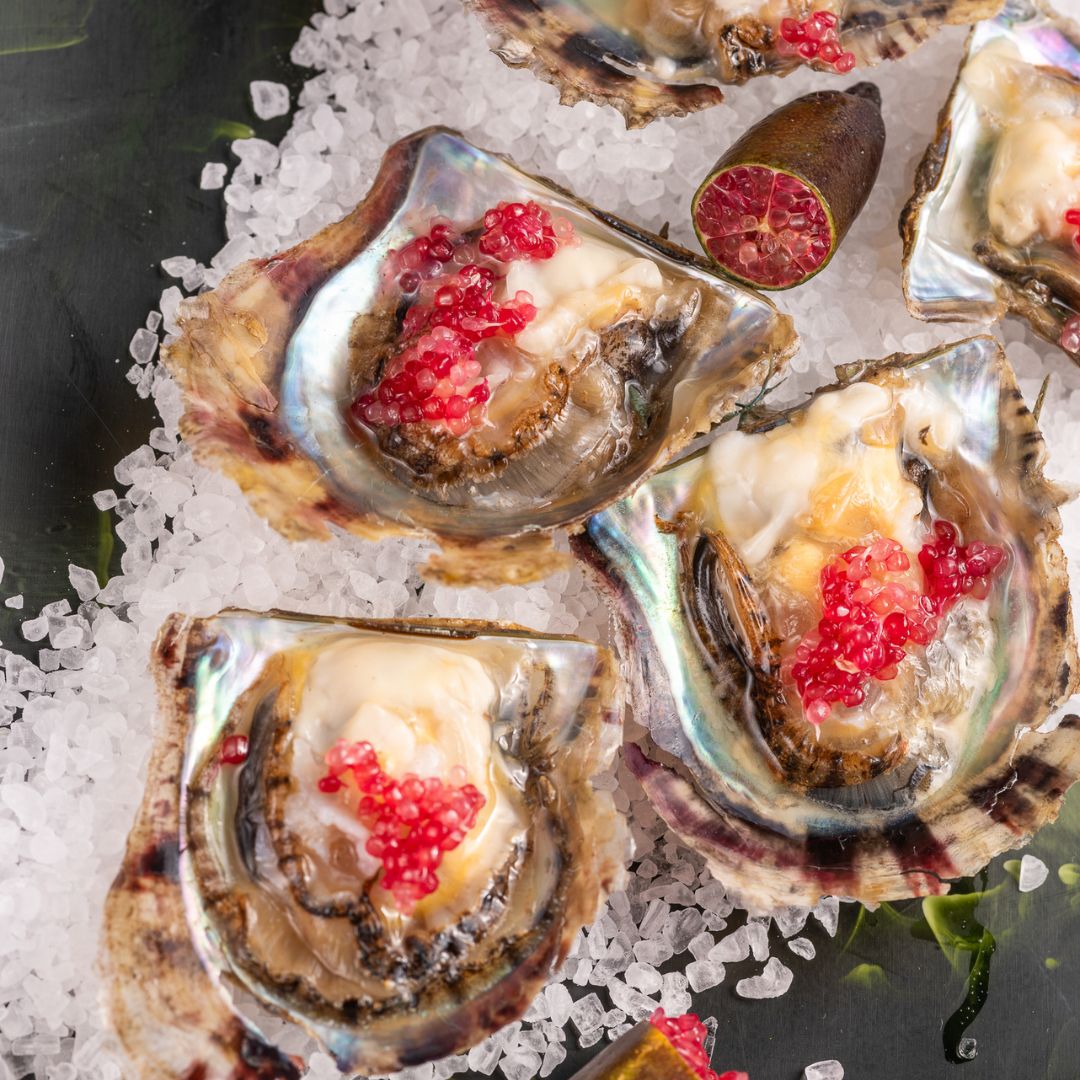Delicious Broken Bay grown Australian Akoya oysters seasoned and ready to taste.