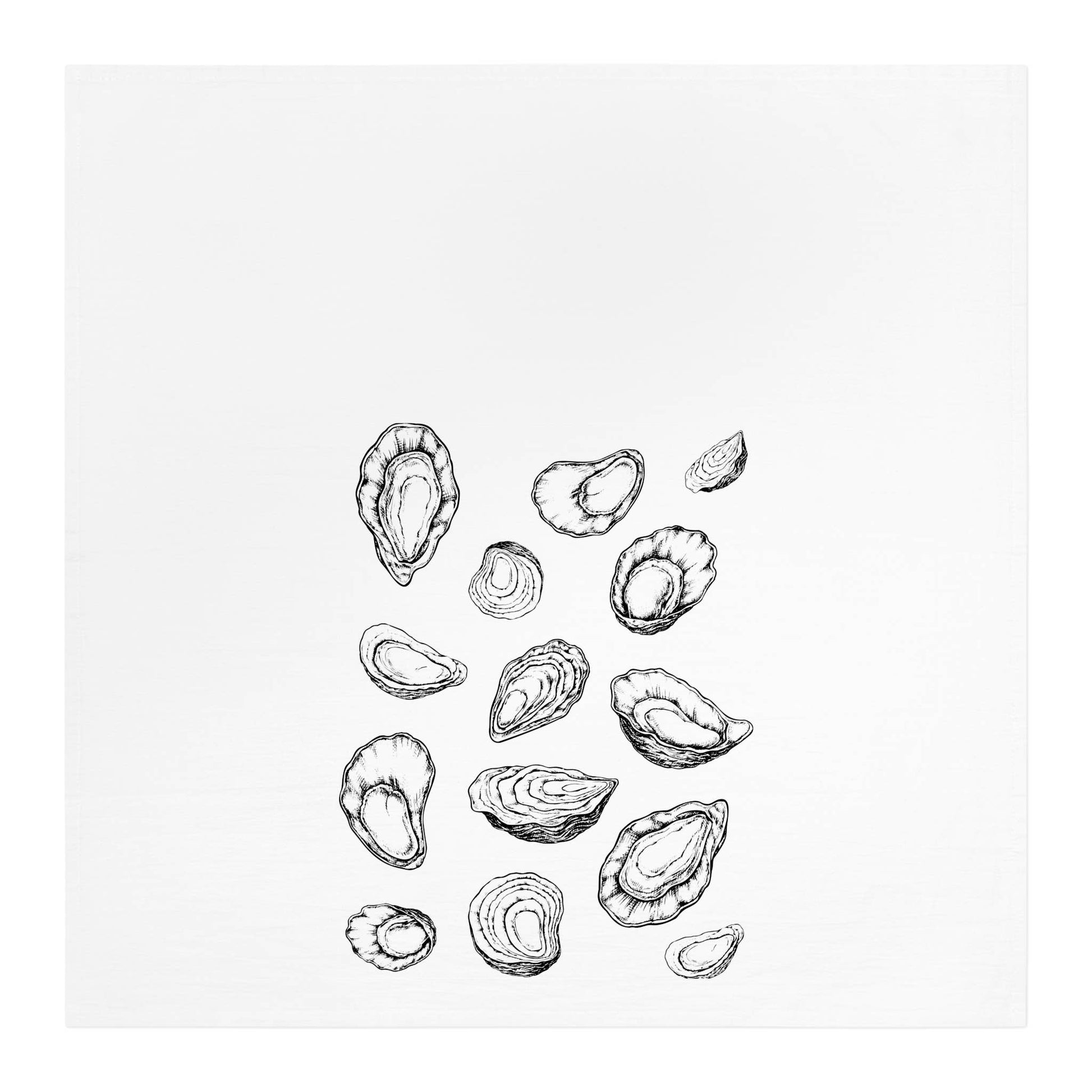 Illustrations of oyster shells on a white background