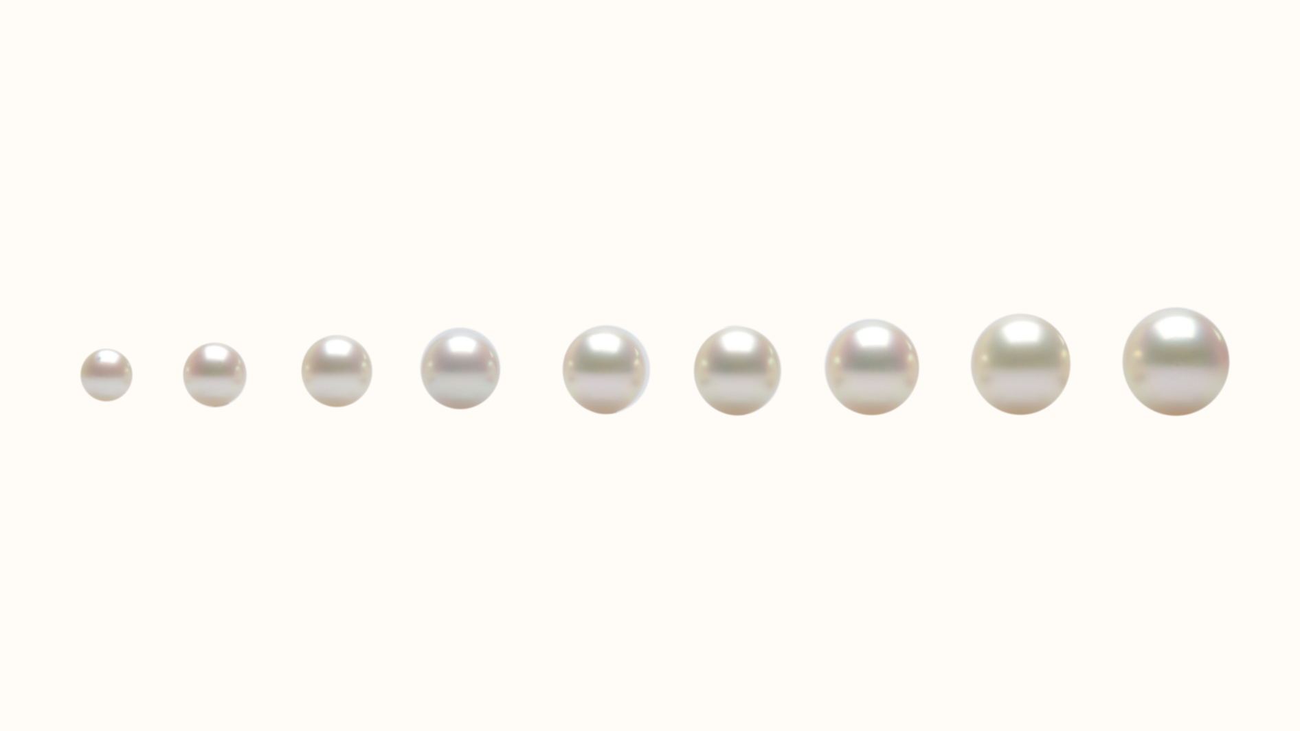 A row of Australian pearls, in order of smallest to largest. Showcasing the range of pearl sizes that we grow at pearl farms.