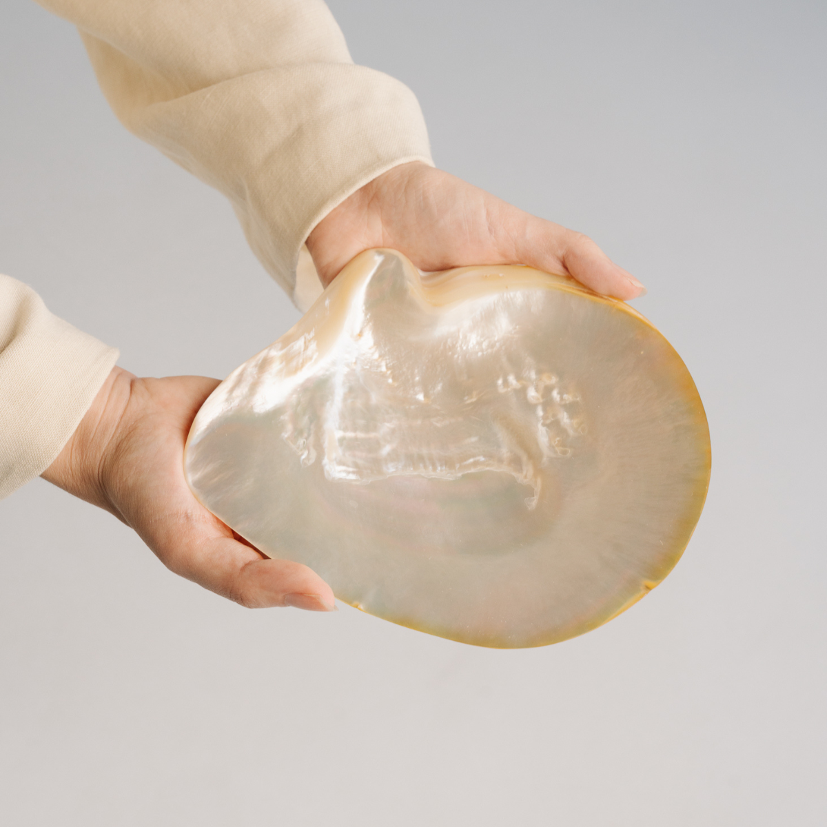 Harvested from the pristine waters of our Cygnet Bay Pearl Farm, our new polished Mother of Pearl shell pays homage to the very essence of Pearls of Australia. 