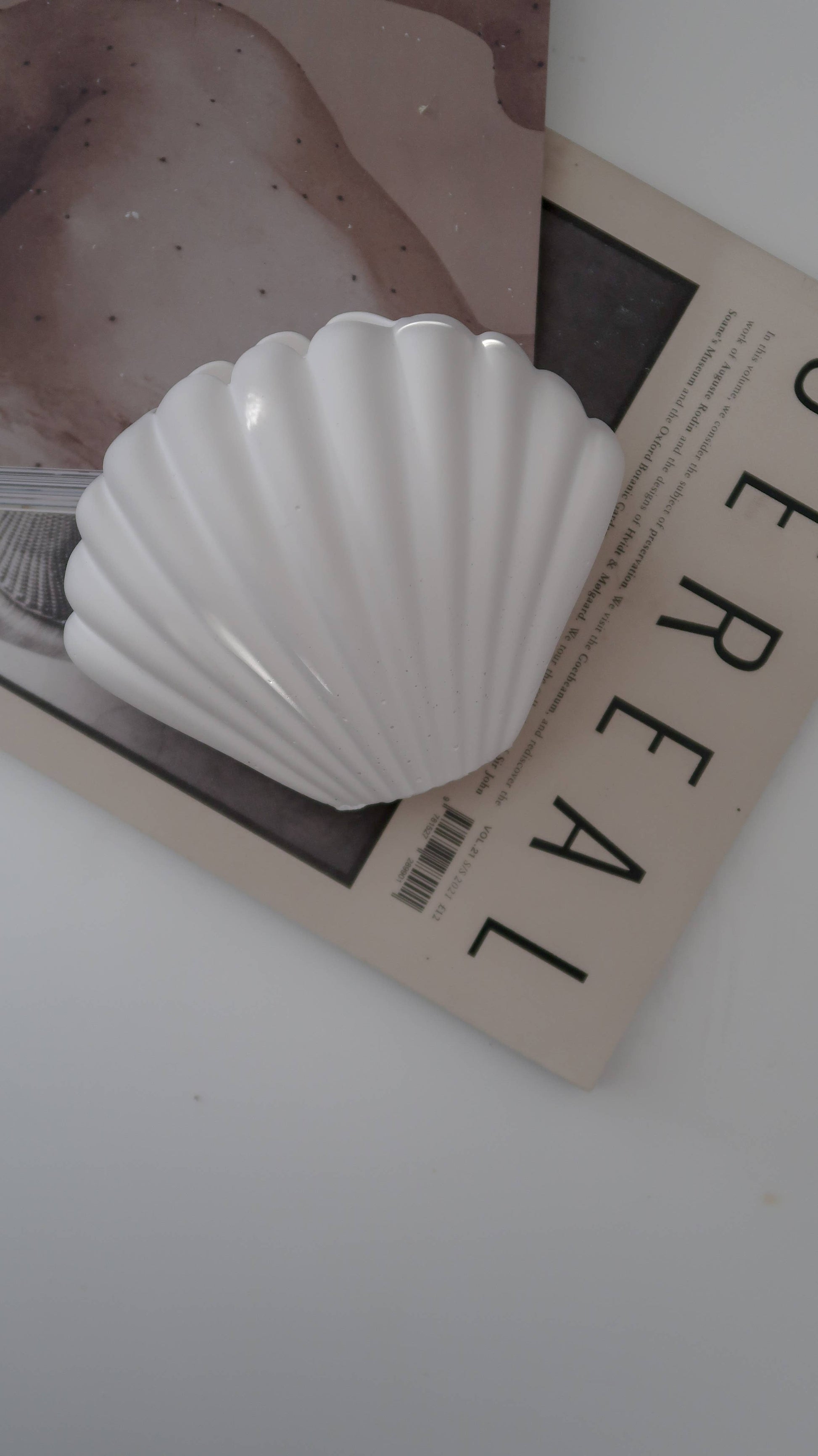 Shell Vase designed for decorative purposes. It can be used for dried flowers or to display your makeup brushes on your vanity table.