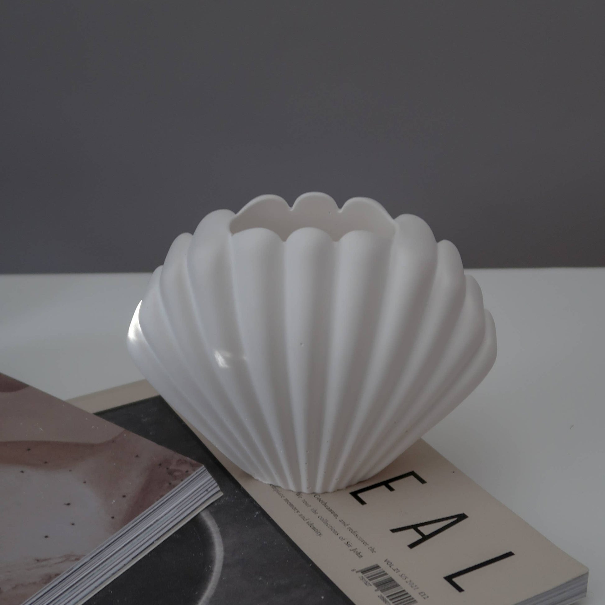 Shell Vase designed for decorative purposes. It can be used for dried flowers or to display your makeup brushes on your vanity table.