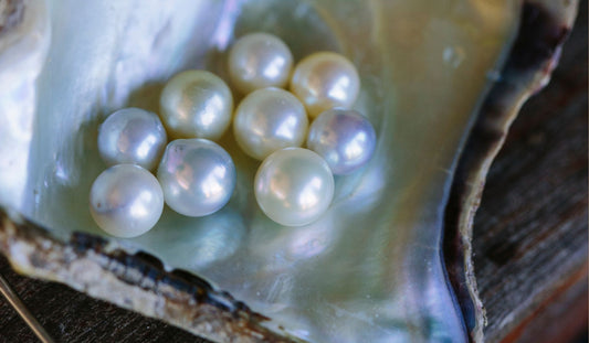 Broken Bay Pearls: A Central Coast success story