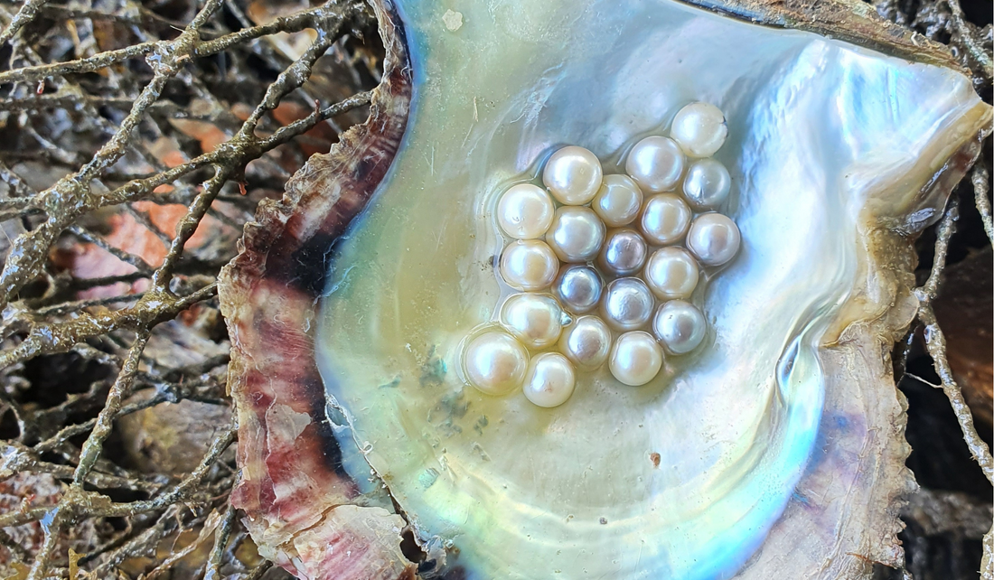 Everything you need to know about Akoya pearls