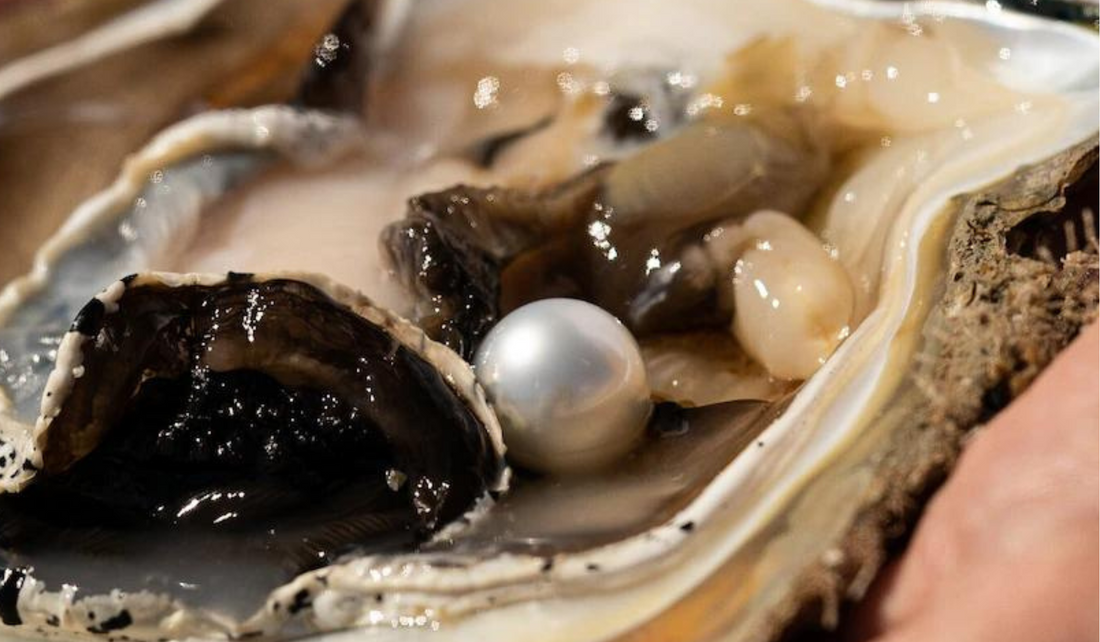 Everything you need to know about South Sea pearls