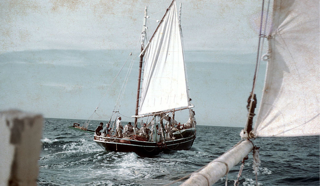 From Pearl Shell to Cultured Pearls: A Timeline of Australian Pearling