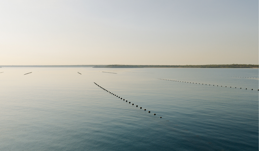 The Environmental Impact of Pearl Farming (And Why it’s Positive)