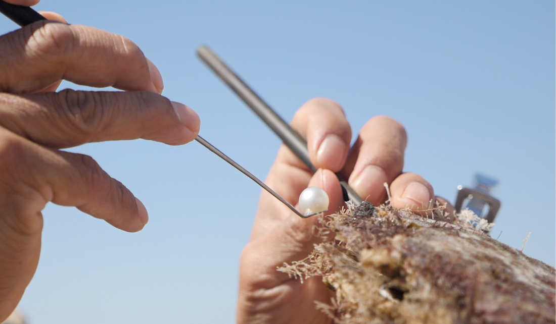 What are Freshwater pearls and what makes them different to Saltwater pearls?