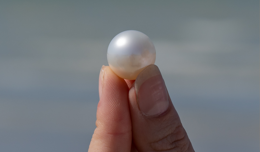 What are pearls and where do they come from?