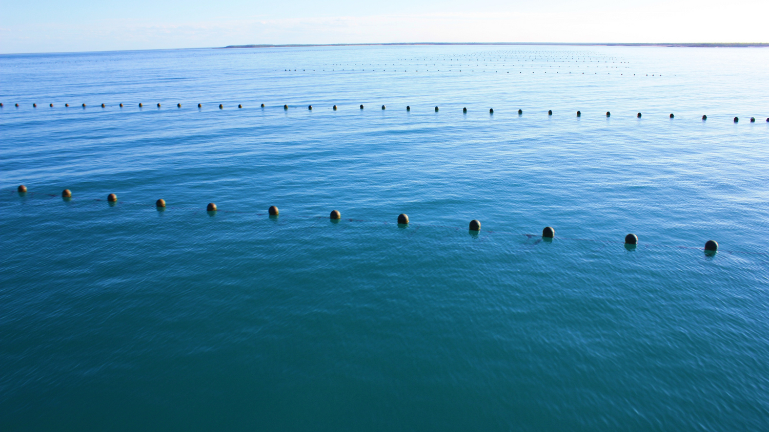 Photo of our Australian pearl oyster lease in the stunning, calm waters of the Kimberley coastline where we cultivate our Australian South Sea pearls.