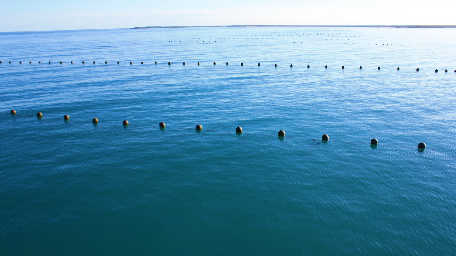 Photo of our Australian pearl oyster lease in the stunning, calm waters of the Kimberley coastline where we cultivate our Australian South Sea pearls. 