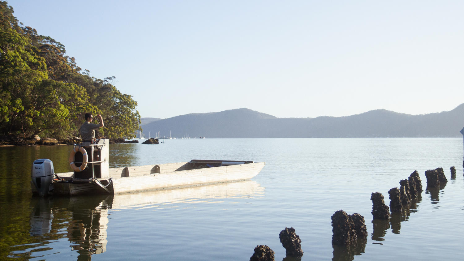 A photo of our Australian pearl oyster leases where our Australian Akoya pearls are cultivated in the calm waters of our Broken Bay Pearl Farm, located in Mooney Mooney on the Hawkesbury River.