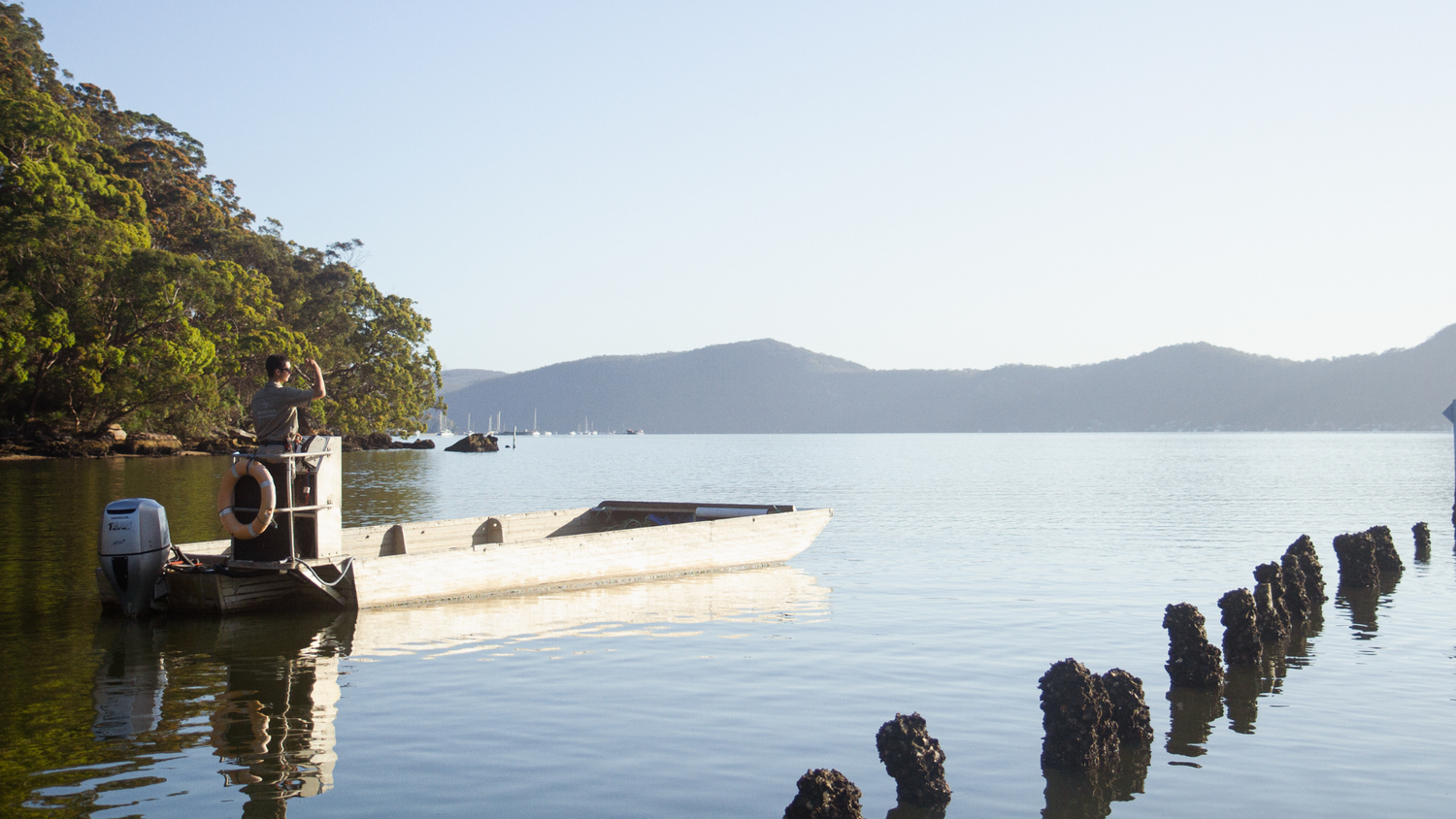 A photo of our Australian pearl oyster leases where our Australian Akoya pearls are cultivated in the calm waters of our Broken Bay Pearl Farm, located in Mooney Mooney on the Hawkesbury River. 