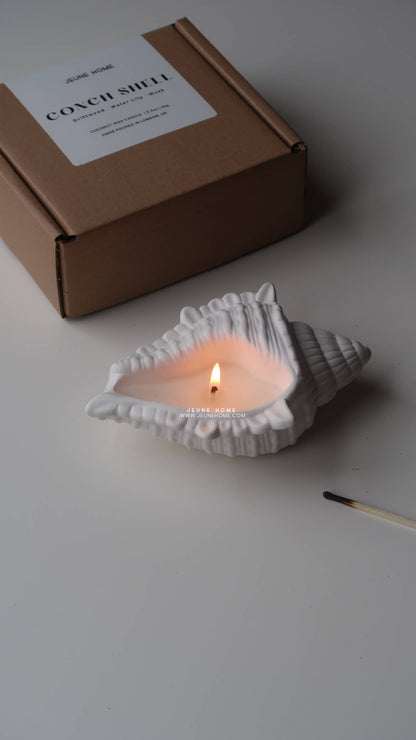 Conch Shell Candle | Custom Scented Candle