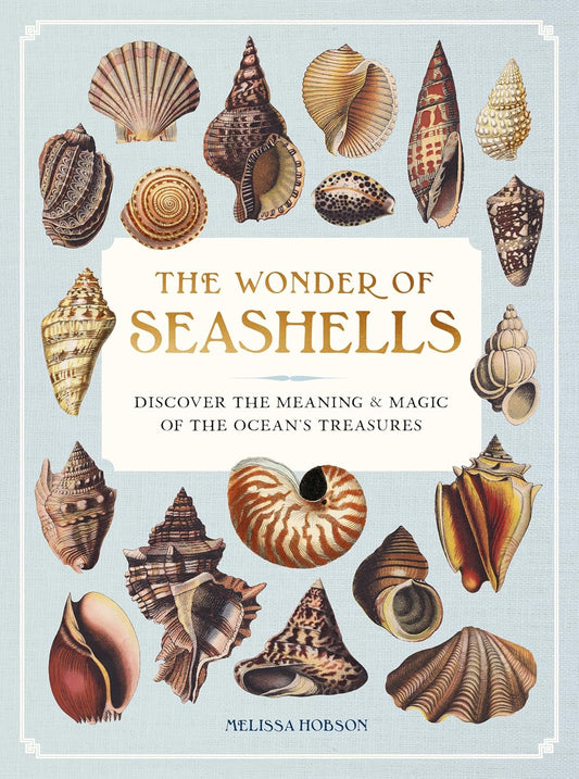 The Wonder of Seashells: Discover the Meaning and Magic of the Ocean’s Treasures