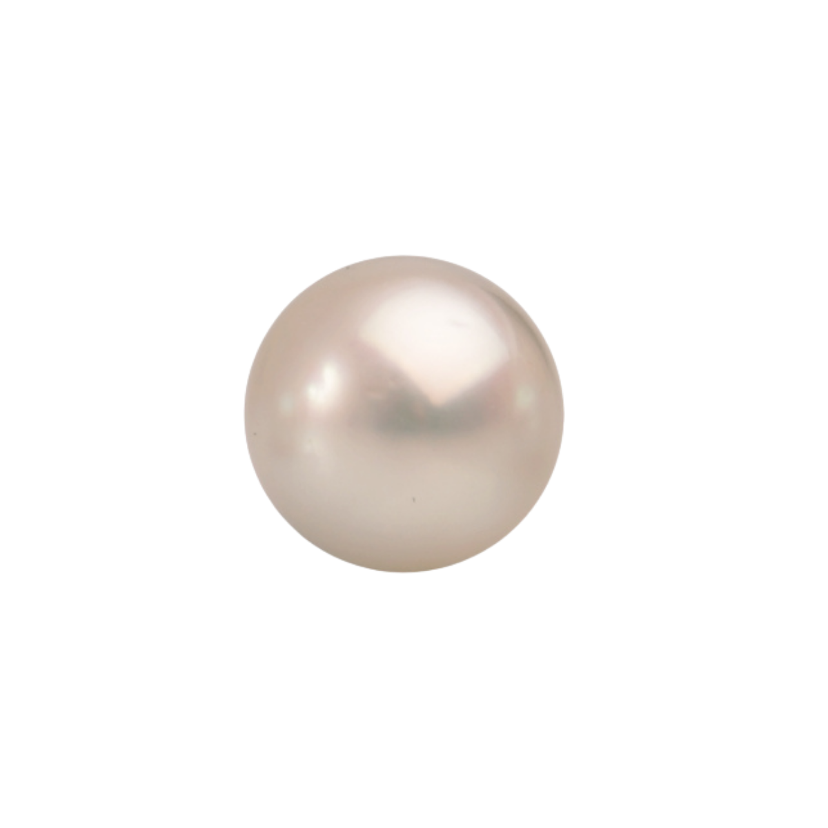 Single A1 grade Australian South Sea pearl on a white background