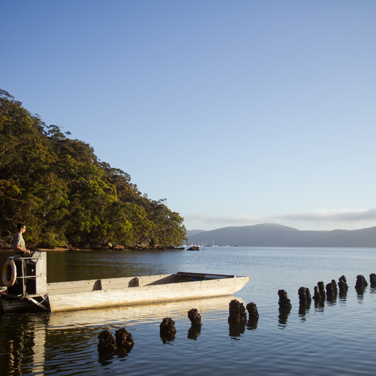 Pearl Farmer on a boat by the lower Hawkesbury River at our Broken Bay Pearl Farm with trees and hills in the background.