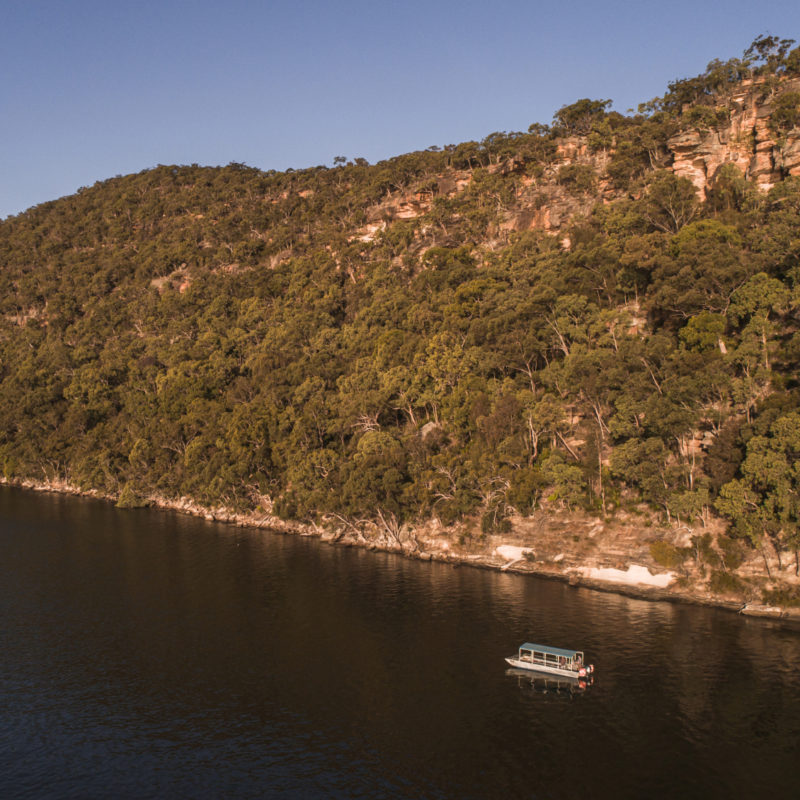 A boat travels on the Hawkesbury River during a Shellar Door Farm Cruise tour, with beautiful views of the lush islands surrounding the farm.