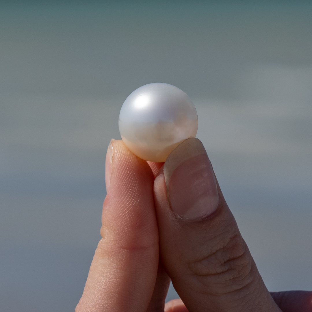 A person holds a perfectly round, white, Australian South Sea pearl between their fingertips. This pearl was carefully grown at our Cygnet Bay Pearl Farm. 