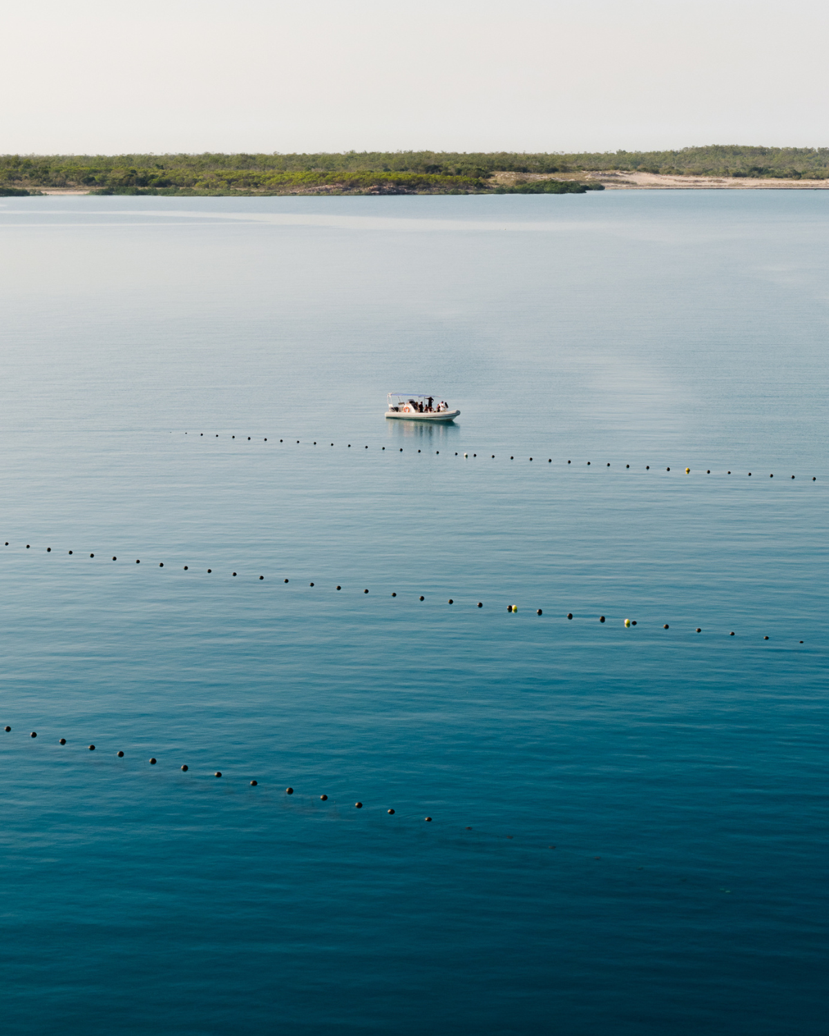 Pearl farm boat at our Cygnet Bay Pearl Farm with guests looking at our longlines where our Australian South Sea pearls are cultivated.