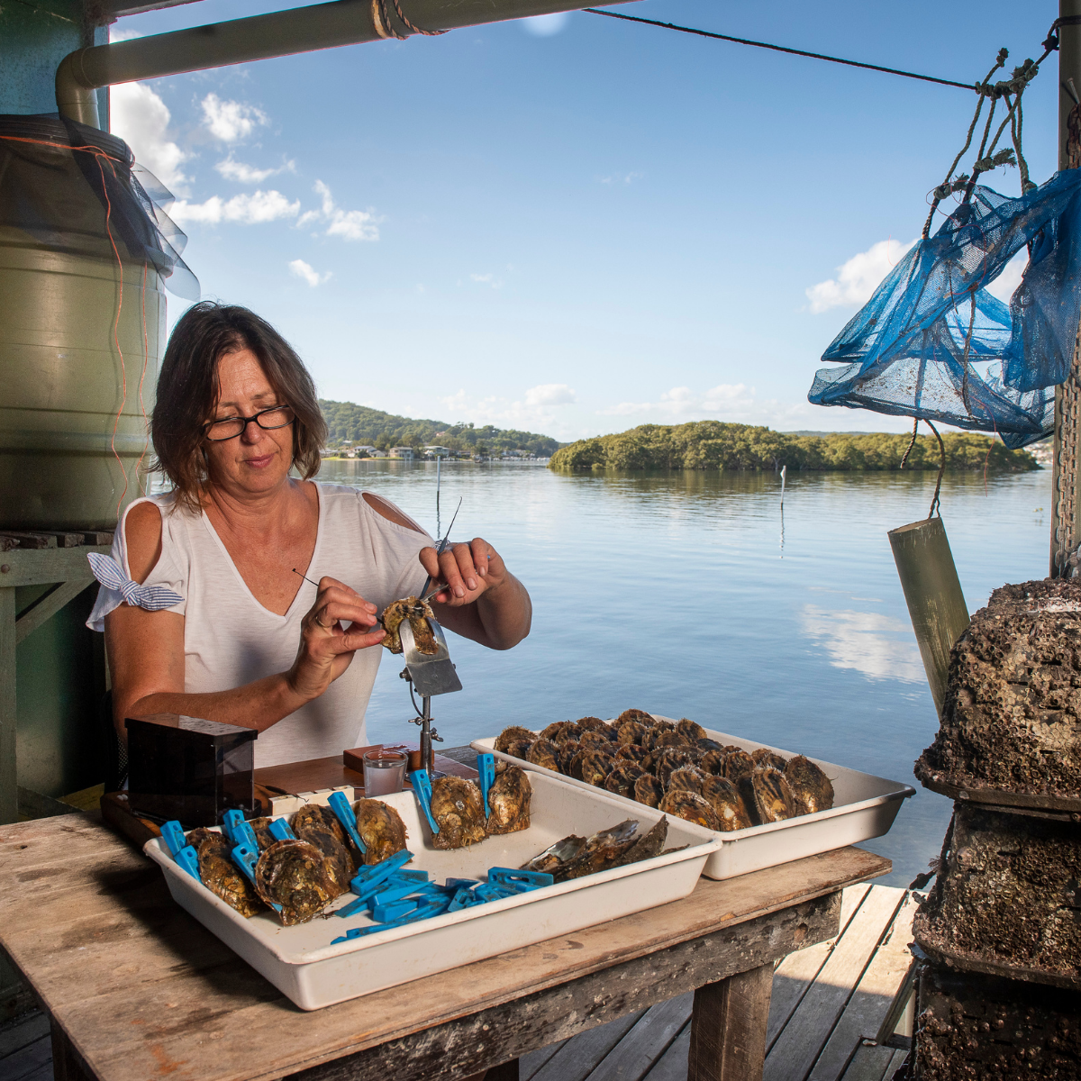 Rose Crisp wearing glasses and a white top works at a wooden table outdoors by Broken Bay Pearl Farm, handling Australian Akoya pearl shell in white trays with blue clips. A large green container, blue hanging nets, and a lake with distant islands of the lower Haweskbury River are visible in the background.