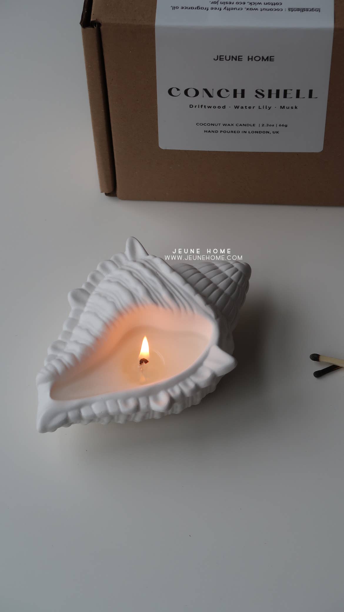 Conch Shell Candle | Custom Scented Candle