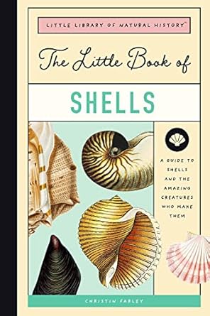 Little Book of Shells Book