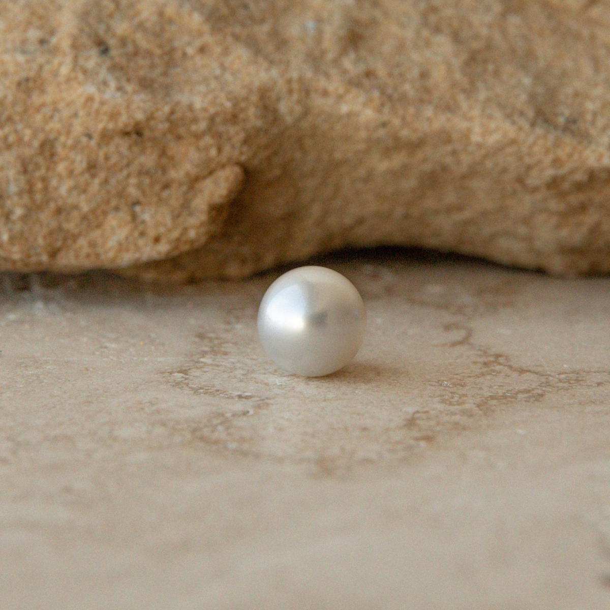 Loose High Button 12x11.7mm A2+ Premium Provenance
