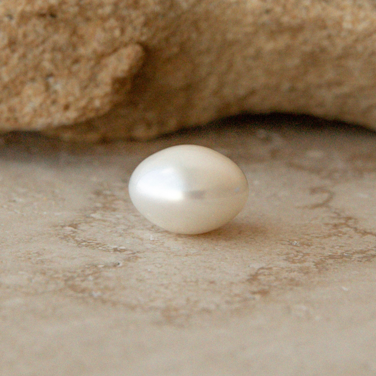 Loose Premium Button 11.33x15.33mm B1
