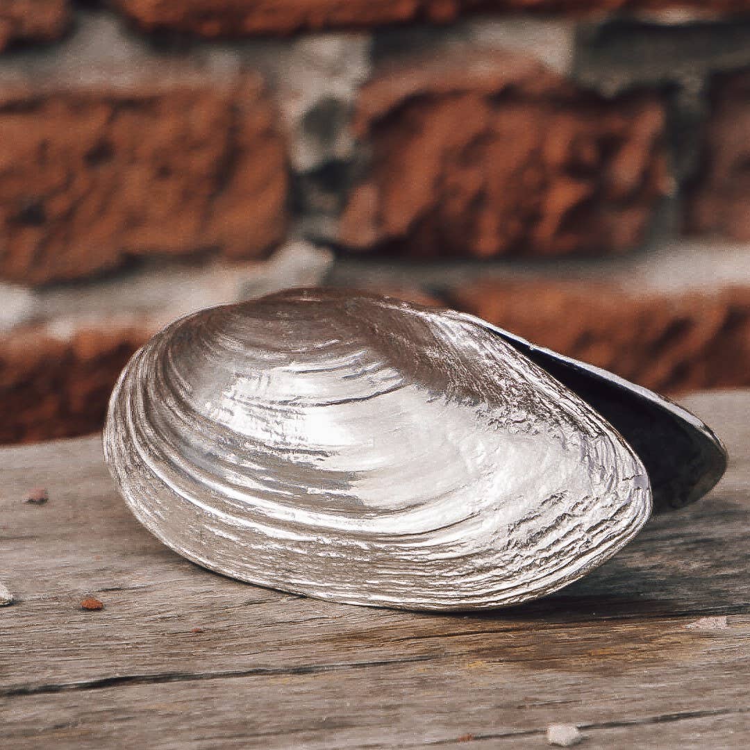 Silver mussel shovel sitting on wooden table
