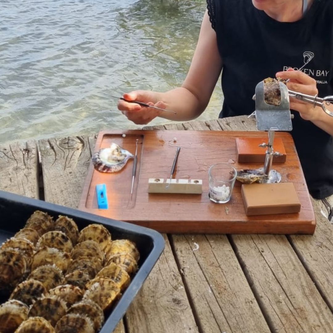 One of our pearl technicians carefully demonstrates how our Australian Akoya pearl oysters are seeded and cultivated at our Broken Bay Pearl Farm. 