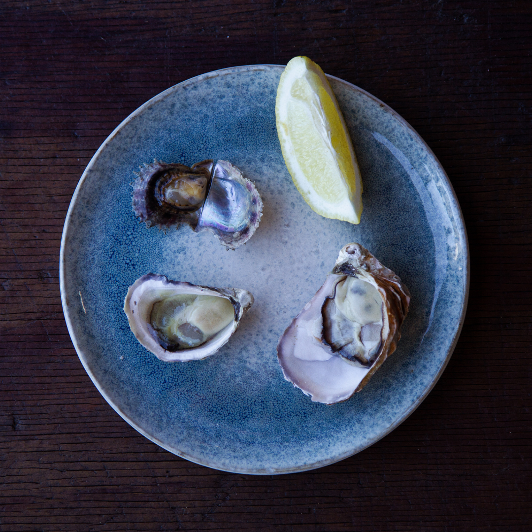 A plate of our Broken Bay grown Australian oysters, including our Australian Akoya oysters, Sydney Rock Oysters, and Pacific Rock Oysters.