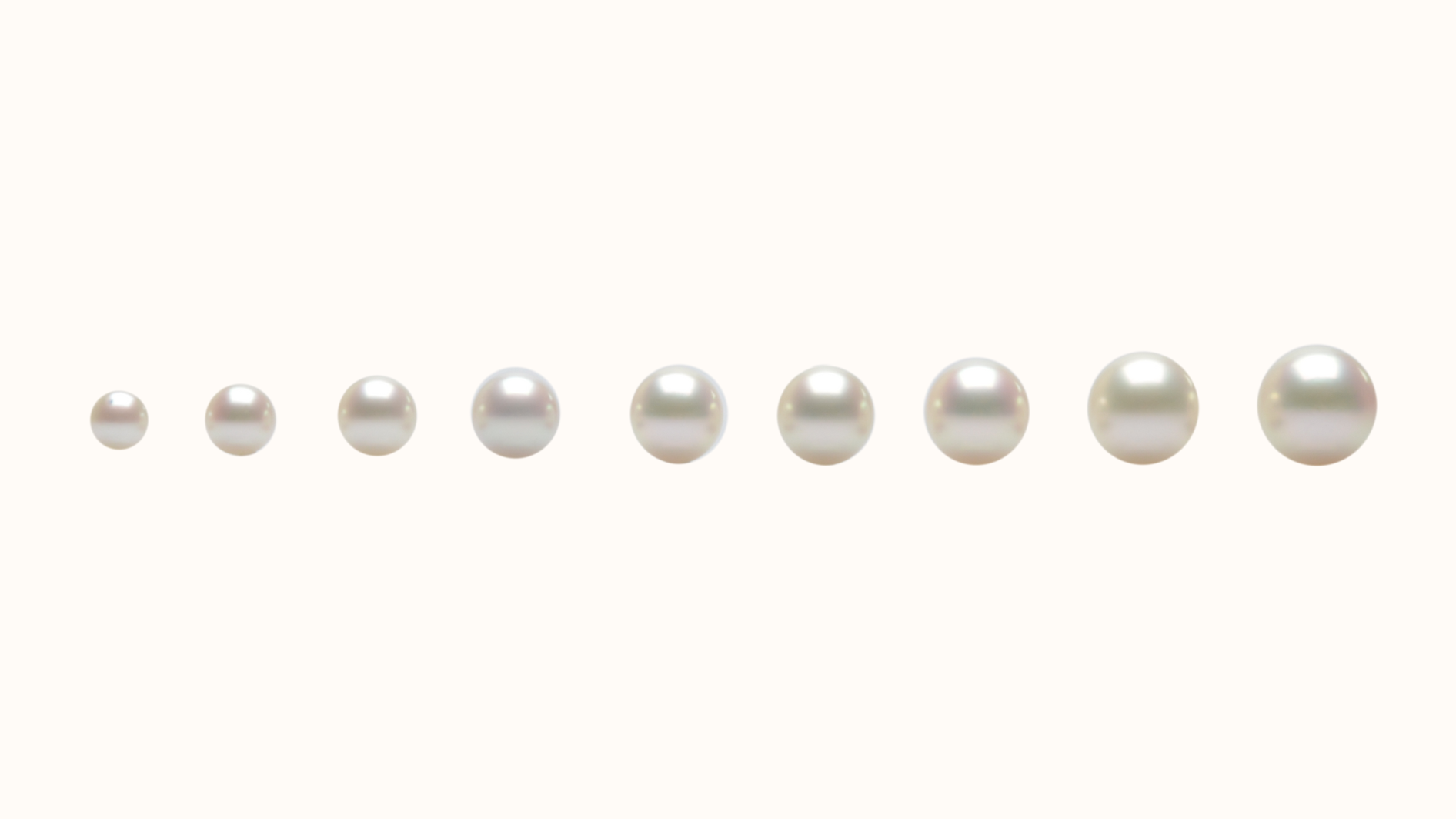 A row of Australian pearls, in order of smallest to largest. Showcasing the range of pearl sizes that we grow at pearl farms. 