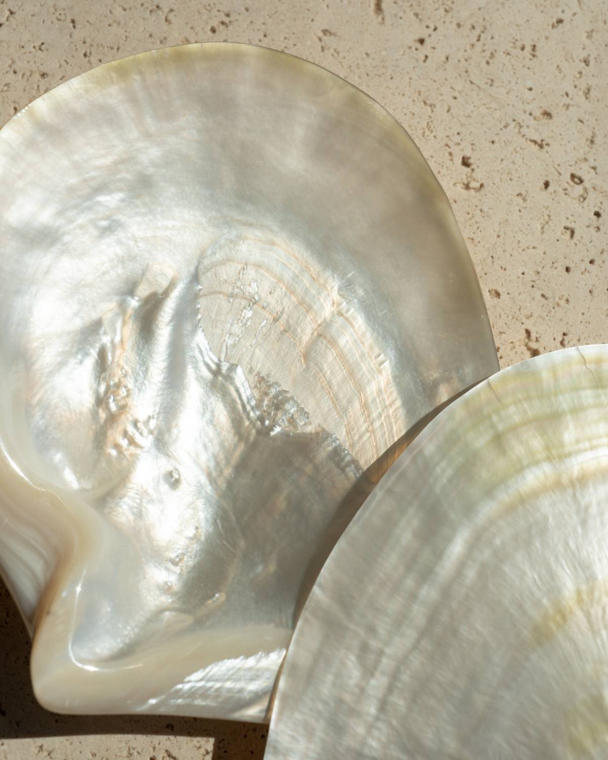 Harvested from the pristine waters of our Cygnet Bay Pearl Farm, our new polished Mother of Pearl shell pays homage to the very essence of Pearls of Australia.