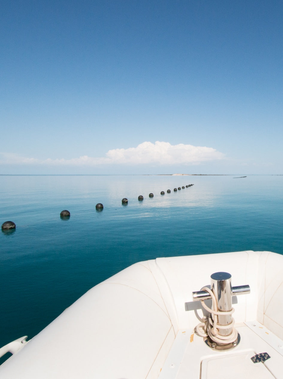 A photo of a boat looking out at a long line of pearl shell cultivated at our Cygnet Bay Pearl Farm.