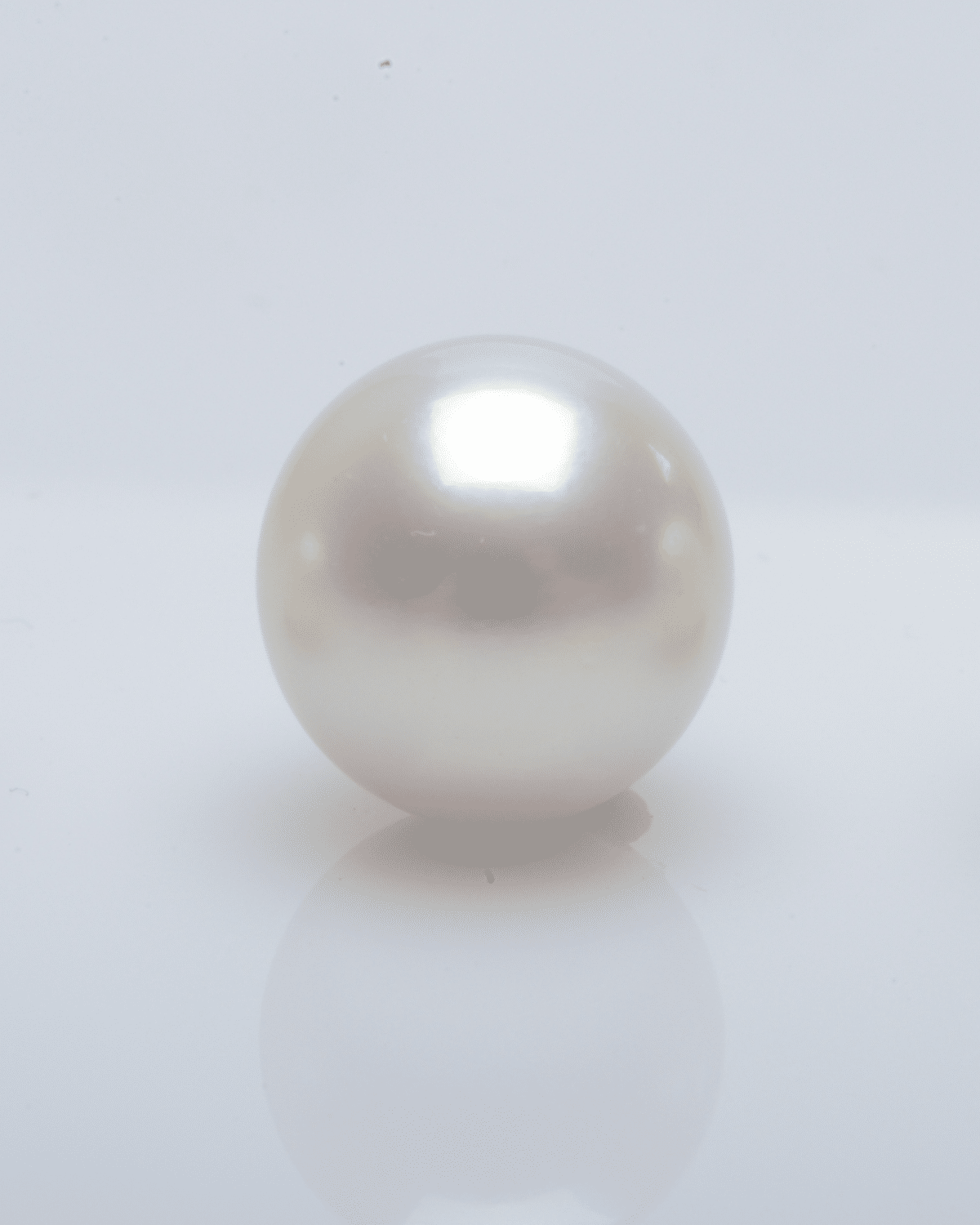 A beautiful, white round Australian South Sea pearl grown at Cygnet Bay Pearl Farm.