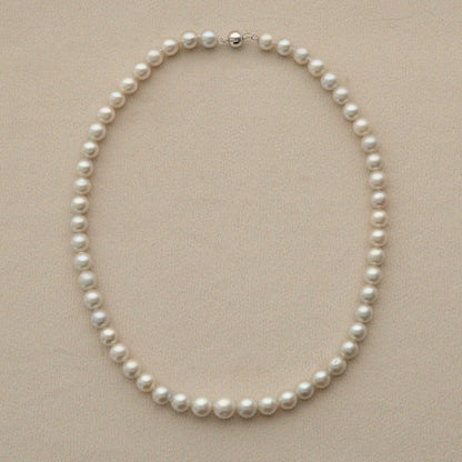 A classic, graduated Australian Akoya pearl strand necklace with a 9ct white gold clasp, arranged in a neat circle on a textured beige background.