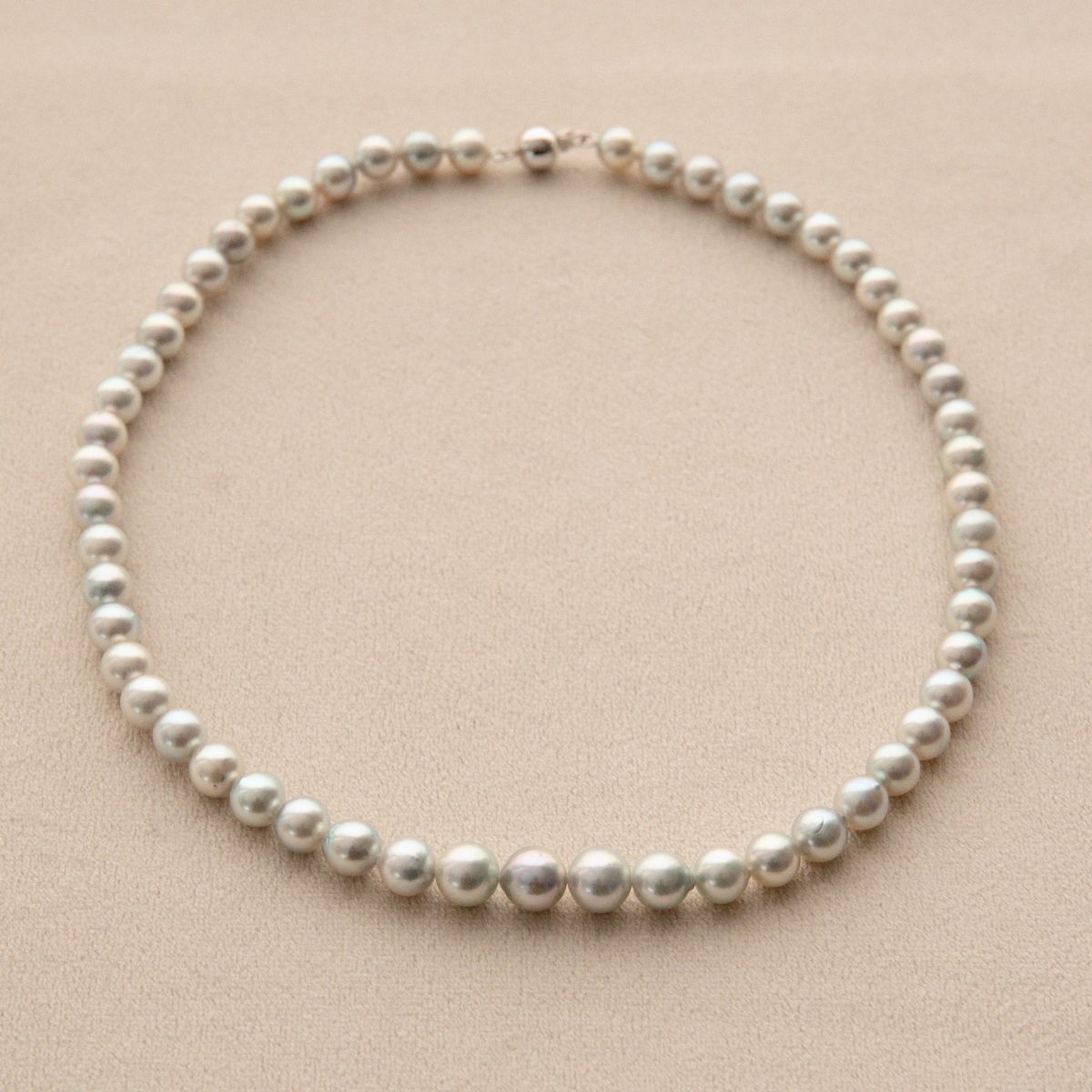 A single-strand pearl necklace with round, lustrous silver Akoya pearls and a small 9ct white gold clasp, displayed on a textured beige background.
