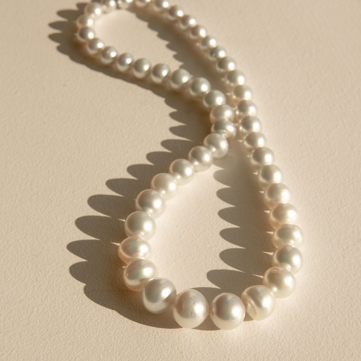 Strand Necklace Australian South Sea Cygnet Bay Button 8-14.5mm A3+/B2 White Silver 47pc 51cm Stainless Steel Invisible Clasp