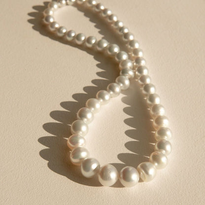 Strand Necklace Australian South Sea Cygnet Bay Button 8-14.5mm A3+/B2 White Silver 47pc 51cm Stainless Steel Invisible Clasp