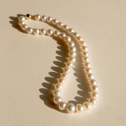 Strand Necklace Australian South Sea Cygnet Bay Button 8.5-11.5mm A3/B2 45pc 42cm 9ct Yellow Gold