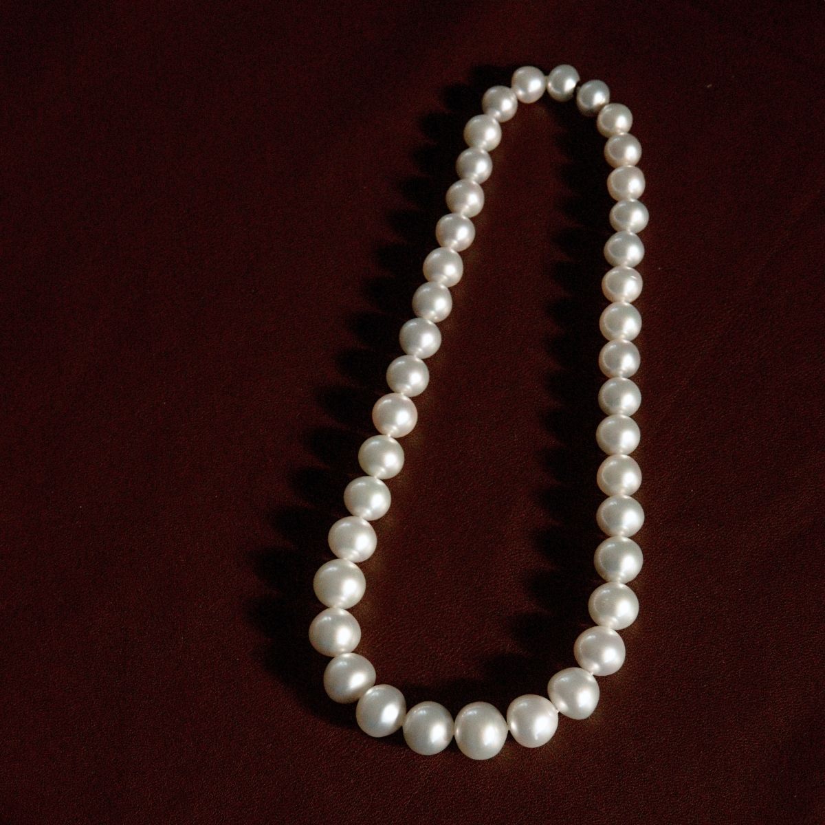 A classic strand of silver Australian South Sea pearls arranged in a neat loop on a dark burgundy background.